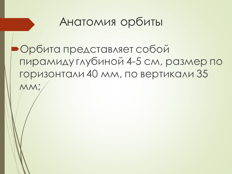 Анатомия орбиты Орбита представляет собой пирамиду глубиной 4-5 см, размер по горизонтали 40 мм,